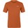 tekstylia Męskie T-shirty i Koszulki polo Salewa Pure Dolomites Hemp Men's T-Shirt 28329-4170 Pomarańczowy