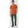 tekstylia Męskie T-shirty i Koszulki polo Salewa Pure Dolomites Hemp Men's T-Shirt 28329-4170 Pomarańczowy