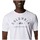 tekstylia Męskie T-shirty i Koszulki polo Columbia M GRAPHIC SS TEE BLANC Biały