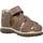 Buty Chłopiec Sandały Primigi 1861000 Brązowy