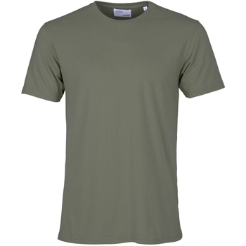 tekstylia T-shirty z krótkim rękawem Colorful Standard T-shirt  Classic Organic dusty olive Zielony