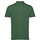 tekstylia Męskie Koszulki polo z krótkim rękawem Lyle & Scott Plain Polo Shirt Zielony