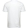 tekstylia Męskie Koszulki polo z krótkim rękawem Lyle & Scott Plain Polo Shirt Biały