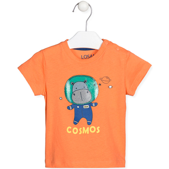 tekstylia Dziecko T-shirty i Koszulki polo Losan 217-1001AL Pomarańczowy