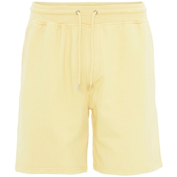 tekstylia Szorty i Bermudy Colorful Standard Short  Classic Organic soft yellow Żółty
