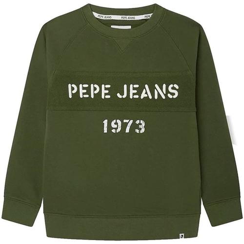tekstylia Chłopiec Bluzy Pepe jeans  Zielony