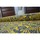 Dom Dywany Rugsx Dywan Vintage Kwiaty 22209/025 żółty 120x170 cm Żółty