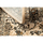 Dom Dywany Rugsx Dywan wełniany POLONIA KORDOBA sepia (2) 100x150 cm Brązowy