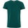 tekstylia Męskie T-shirty z krótkim rękawem Peak Mountain T-shirt manches courtes homme CODA Zielony