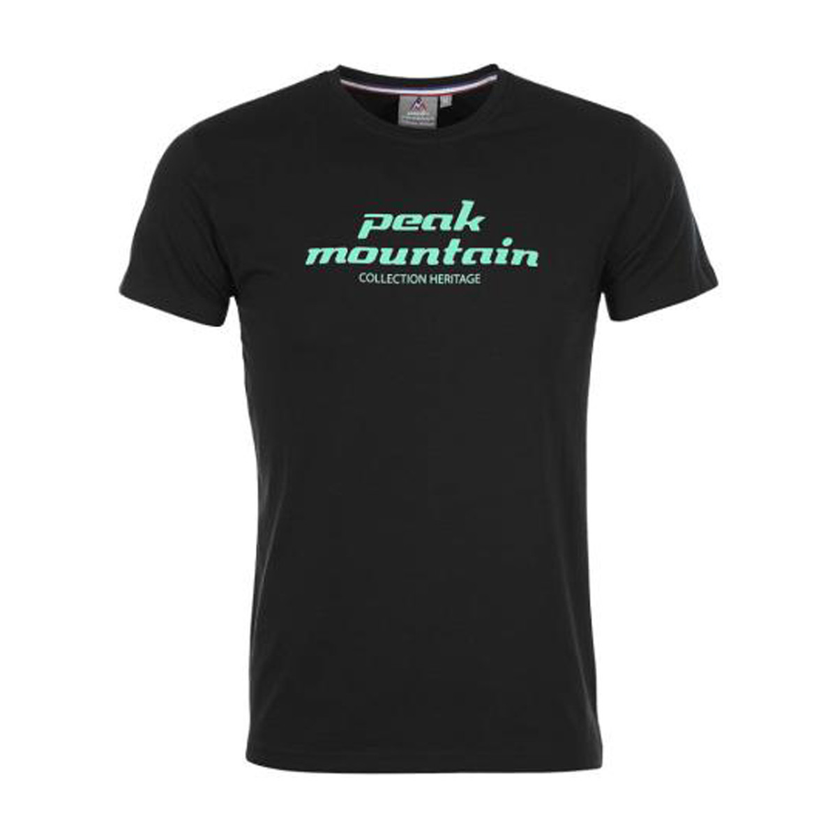 tekstylia Męskie T-shirty z krótkim rękawem Peak Mountain T-shirt manches courtes homme COSMO Czarny