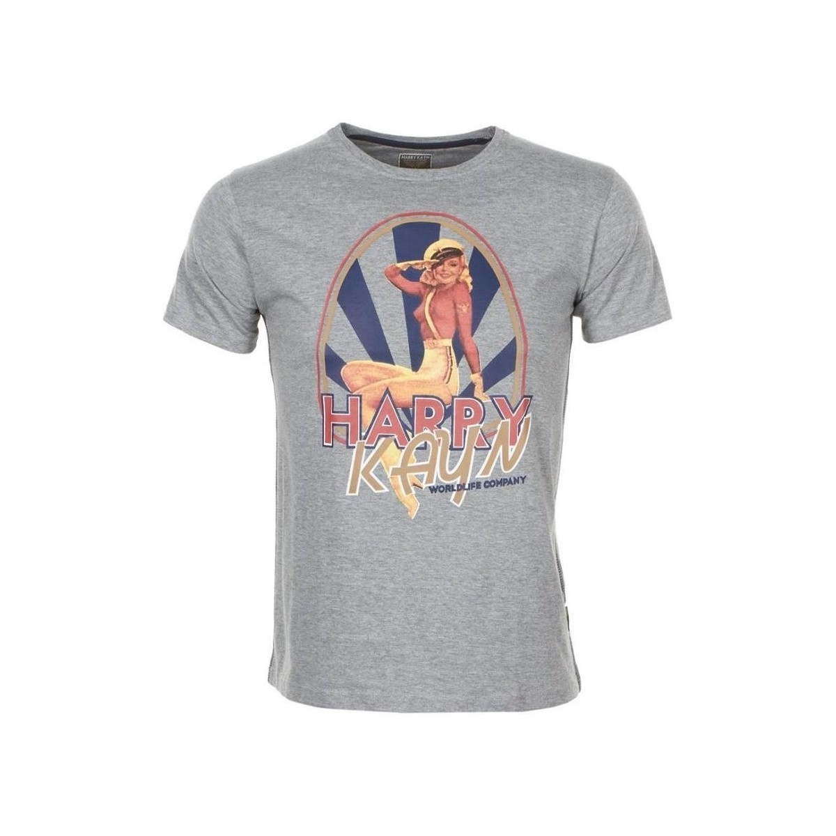 tekstylia Chłopiec T-shirty z krótkim rękawem Harry Kayn T-shirt manches courtes garçon ECELINUP Szary