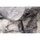 Dom Dywany Rugsx Dywan TINE 75417A Skała, kamień - nowoczesny, 160x220 cm Beżowy