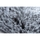 Dom Dywany Rugsx Dywan LAPIN Shaggy szary / kość słoniowa, 180x270 cm Szary