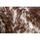 Dom Dywany Rugsx Dywan LAPIN Shaggy kość słoniowa / czekolada 180x270 cm Brązowy