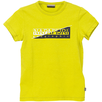 tekstylia Chłopiec T-shirty z krótkim rękawem Napapijri N0CIWI-YA2 Zielony