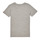 tekstylia Chłopiec T-shirty z krótkim rękawem Pepe jeans FLAG LOGO JR S/S N Szary