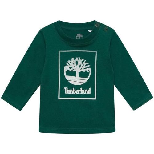 tekstylia Chłopiec T-shirty z krótkim rękawem Timberland  Zielony