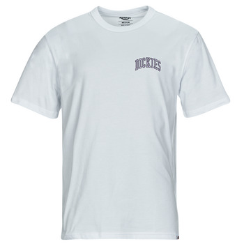 tekstylia Męskie T-shirty z krótkim rękawem Dickies AITKIN CHEST TEE SS Biały