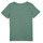 tekstylia Chłopiec T-shirty z krótkim rękawem Name it NKMBRUNO SS TOP Szary