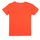 tekstylia Chłopiec T-shirty z krótkim rękawem Name it NMMTONY SS TOP Pomarańczowy