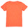 tekstylia Chłopiec T-shirty z krótkim rękawem Name it NKMFAWA SS TOP Pomarańczowy