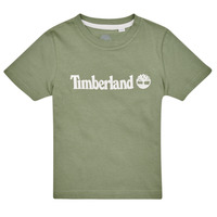 tekstylia Chłopiec T-shirty z krótkim rękawem Timberland T25T77 Kaki