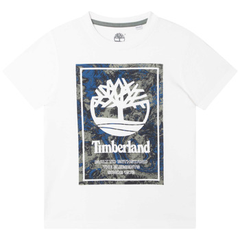 tekstylia Chłopiec T-shirty z krótkim rękawem Timberland T25T79-10P Biały