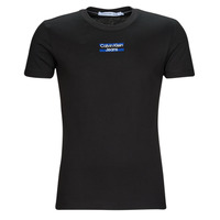 tekstylia Męskie T-shirty z krótkim rękawem Calvin Klein Jeans TRANSPARENT STRIPE LOGO TEE Czarny
