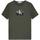 tekstylia Chłopiec T-shirty z krótkim rękawem Calvin Klein Jeans  Zielony