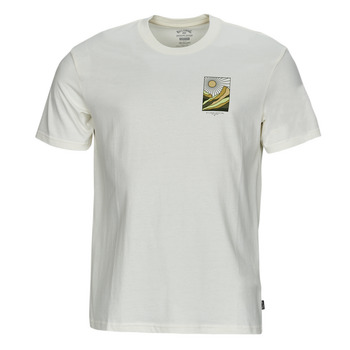 tekstylia Męskie T-shirty z krótkim rękawem Billabong SANDS SS Biały