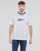 tekstylia Męskie T-shirty z krótkim rękawem Reebok Classic Arch Logo Vectorr Tee Biały