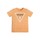 tekstylia Chłopiec T-shirty z krótkim rękawem Guess SS TSHIRT CORE Pomarańczowy