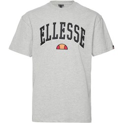 tekstylia Męskie T-shirty z krótkim rękawem Ellesse 199496 Szary