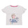 tekstylia Dziewczynka T-shirty z krótkim rękawem TEAM HEROES  T-SHIRT LA REINE DES NEIGES Biały