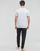 tekstylia Męskie T-shirty z krótkim rękawem Tommy Hilfiger CN SS TEE LOGO Biały