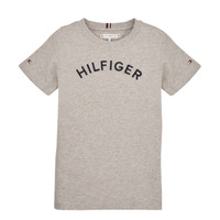 tekstylia Dziecko T-shirty z krótkim rękawem Tommy Hilfiger U HILFIGER ARCHED TEE Szary