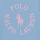 tekstylia Dziewczynka T-shirty z krótkim rękawem Polo Ralph Lauren SS GRAPHIC T-KNIT SHIRTS-T-SHIRT Niebieski / Ciel / Różowy