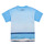 tekstylia Chłopiec T-shirty z krótkim rękawem Desigual TS_ALBERT Niebieski