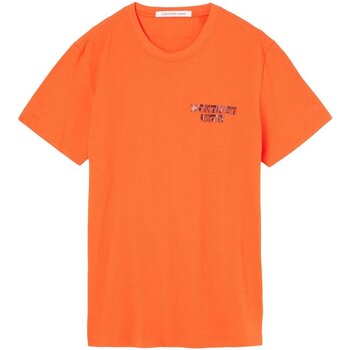 tekstylia Męskie T-shirty z krótkim rękawem Calvin Klein Jeans J30J321772 Pomarańczowy