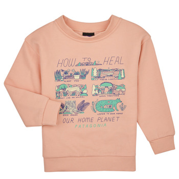 tekstylia Dziewczynka Bluzy Patagonia Baby LW Crew Sweatshirt Różowy