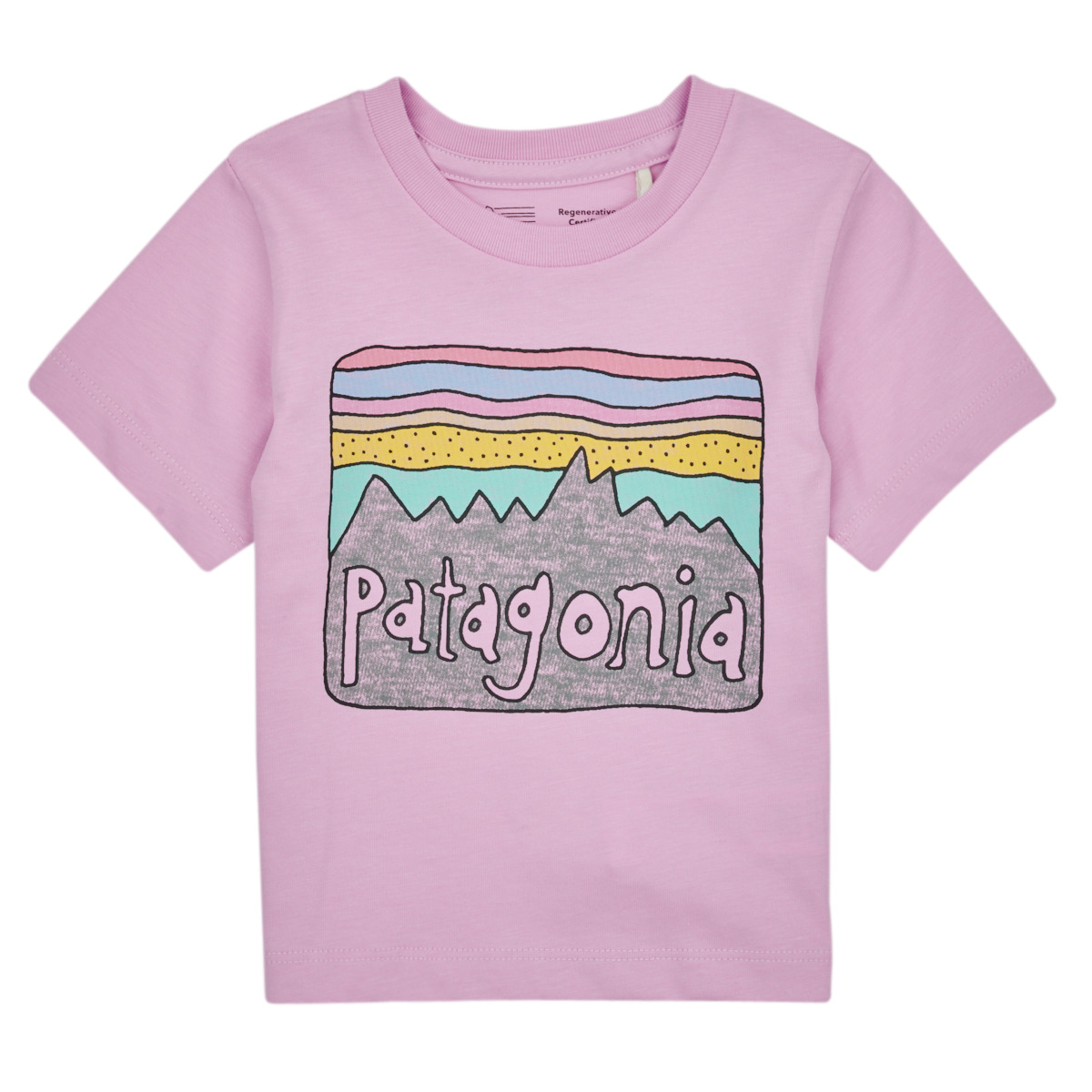 tekstylia Dziecko T-shirty z krótkim rękawem Patagonia Baby Regenerative Organic Certified Cotton Fitz Roy Skies T- Liliowy