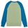 tekstylia Dziecko Bluzy Patagonia K's LW Crew Sweatshirt Wielokolorowy