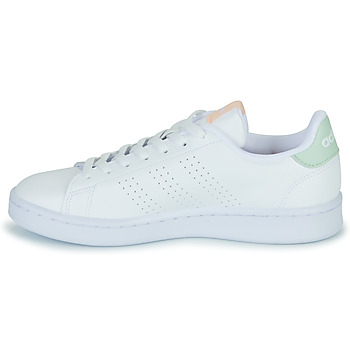 Adidas Sportswear ADVANTAGE Biały / Zielony