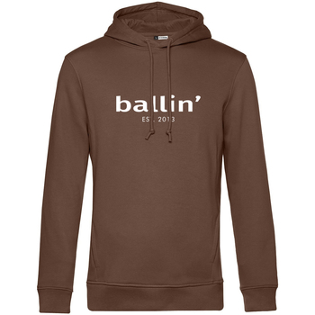 tekstylia Męskie Swetry Ballin Est. 2013 Basic Hoodie Brązowy