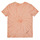 tekstylia Chłopiec T-shirty z krótkim rękawem Ikks XW10083 Różowy
