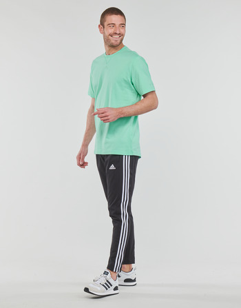 Adidas Sportswear ALL SZN T Zielony