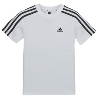 tekstylia Dziecko T-shirty z krótkim rękawem Adidas Sportswear LK 3S CO TEE Biały