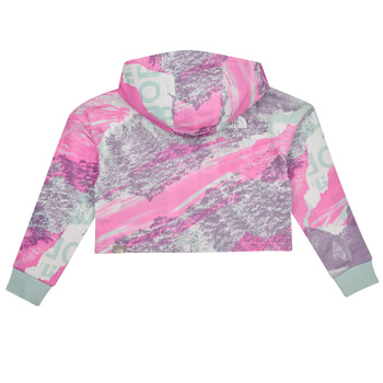 The North Face Girls Drew Peak Light Hoodie Wielokolorowy
