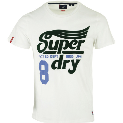 tekstylia Męskie T-shirty z krótkim rękawem Superdry Collegiate Graphic Tee 185 Biały