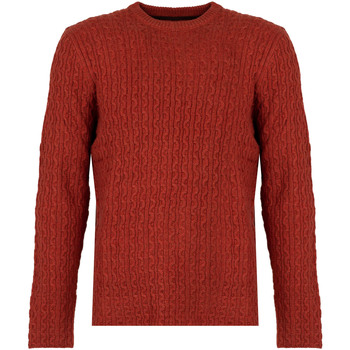 tekstylia Męskie Swetry Pepe jeans PM702278 | New Jules Czerwony